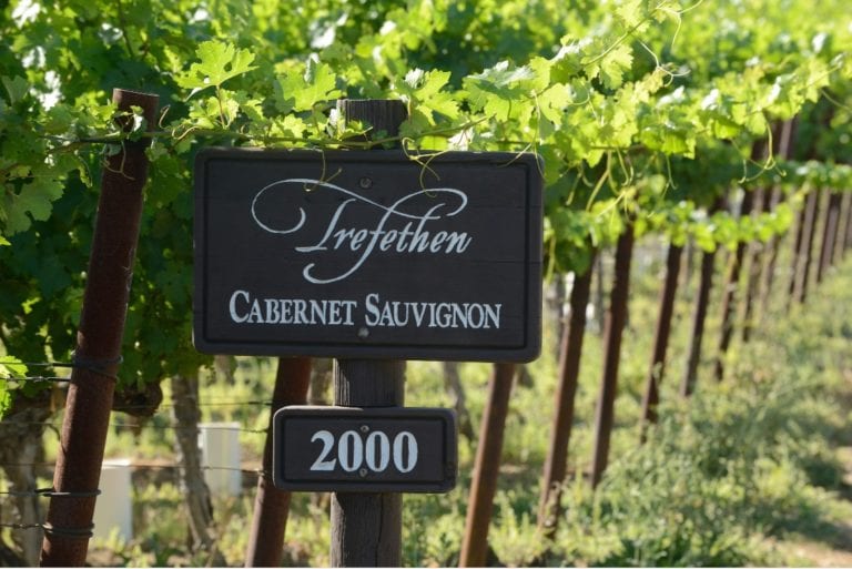 Cabernet Sauvignon | The Story Behind The Vine